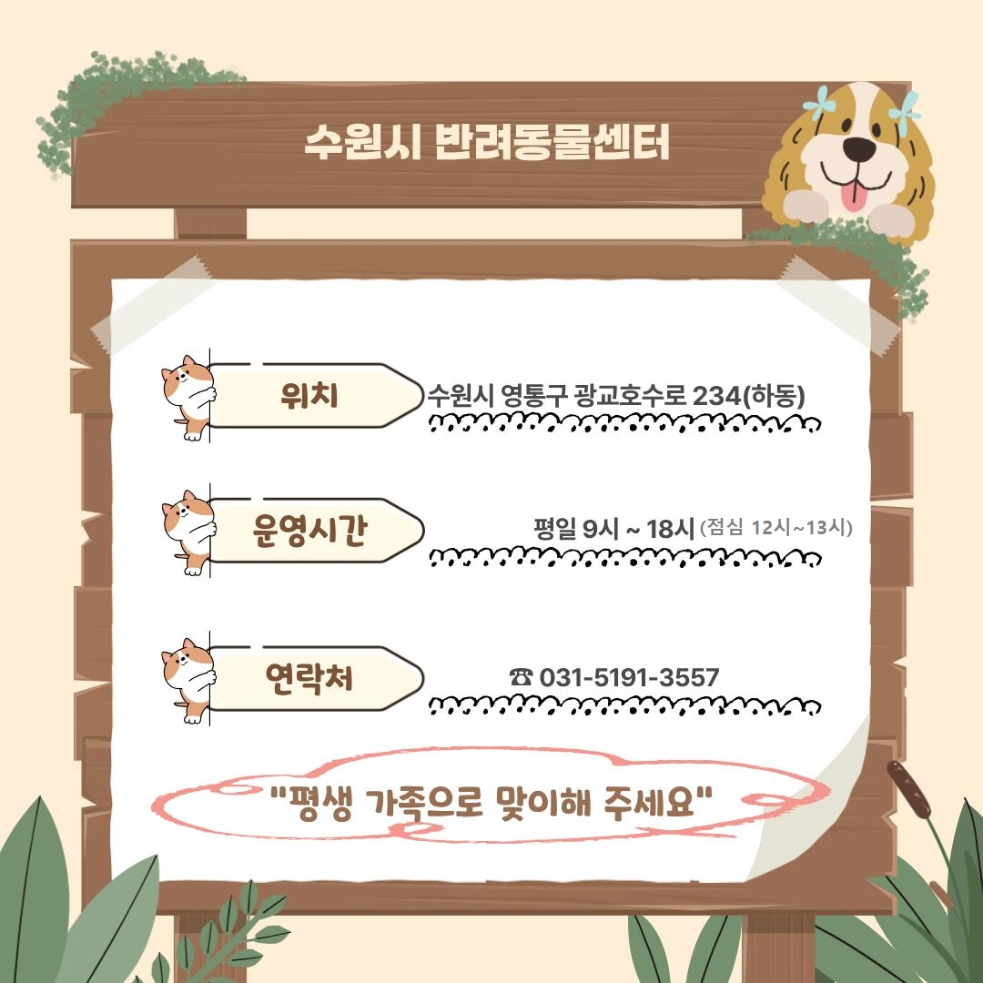 6. 수원시 반려동물센터 정보 
위치: 수원시 영통구 광교호수로 234(하동)
운영시간: 평일 9시 ~ 18시 (점심 12시 ~ 13시)
연락처: ☎ 031-5191-3557
슬로건: "평생 가족으로 맞이해 주세요"